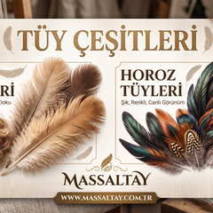 Collection image for: Tüy Çeşitleri – Deve Tüyü, Horoz Tüyü ve Dekoratif El Sanatı Tüyleri