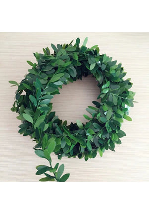 Wire Ivy 7.5 Meters – Decorative Ornament Natural gas pipe cover